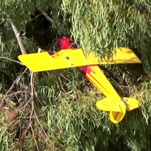 rc plane in tree